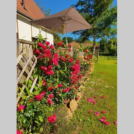 Les Maisons Du Marais Feriehus Groléjac